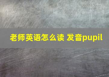 老师英语怎么读 发音pupil